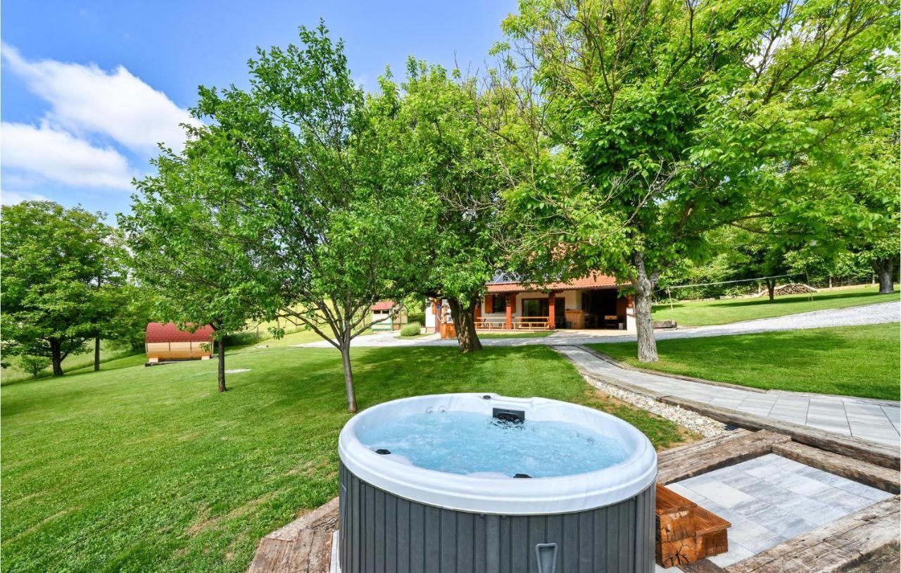 Nice Home In Glina With Sauna Donje Taboriste Экстерьер фото